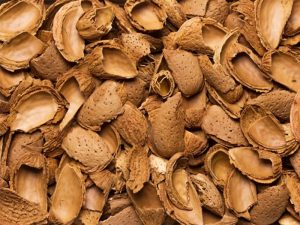 almond-shell alternative biomass