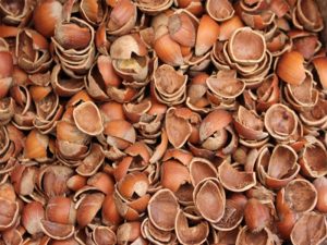 hazelnut-shell alternative biomass