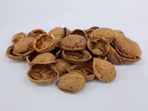 walnut-shell alternative biomass